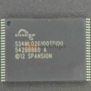 S34ML02G100TFI000